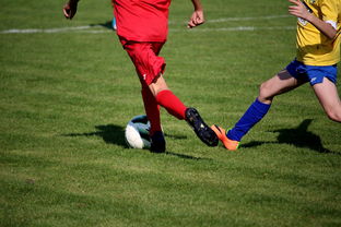 Nine Gaming-跨年比赛:如何影响球队的赛季布局,跨年比赛_如何影响球队的赛季布局和胜负