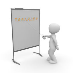九游下载-高校体育教师信息化教学实践，体育教师信息技术应用能力