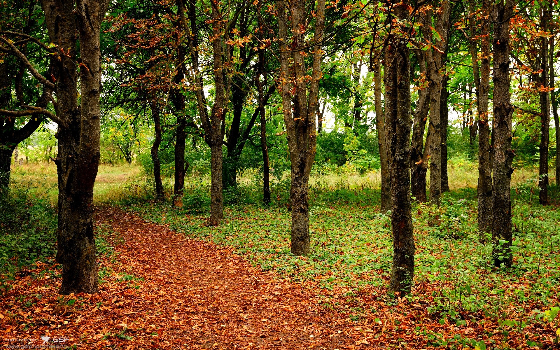 九游网址-中国三人篮球男队保持比赛状态稳定,中国男子三人篮球队