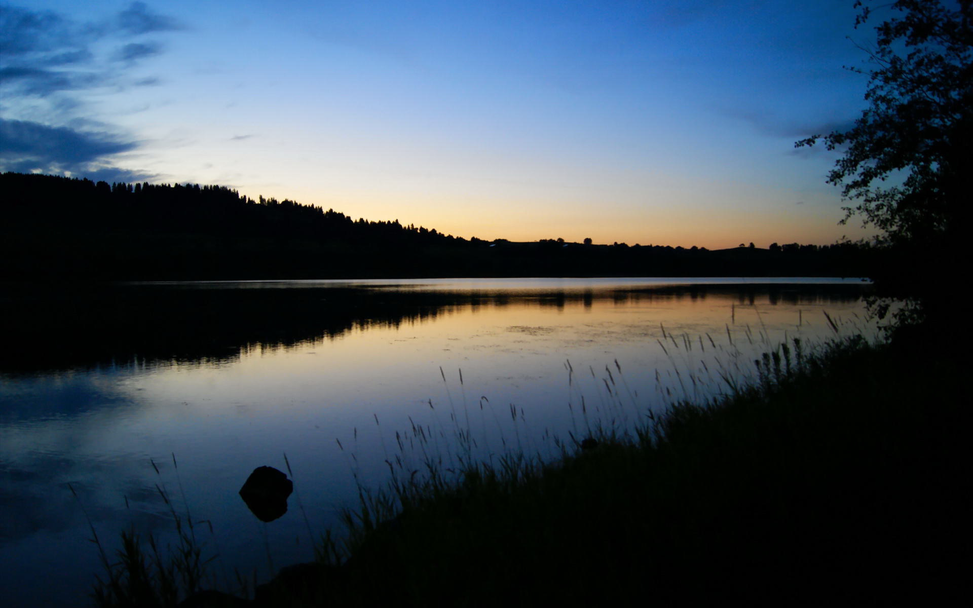 J9九游会-中超联赛中国队夺冠 球迷为球队欢呼雀跃,中超争冠球队