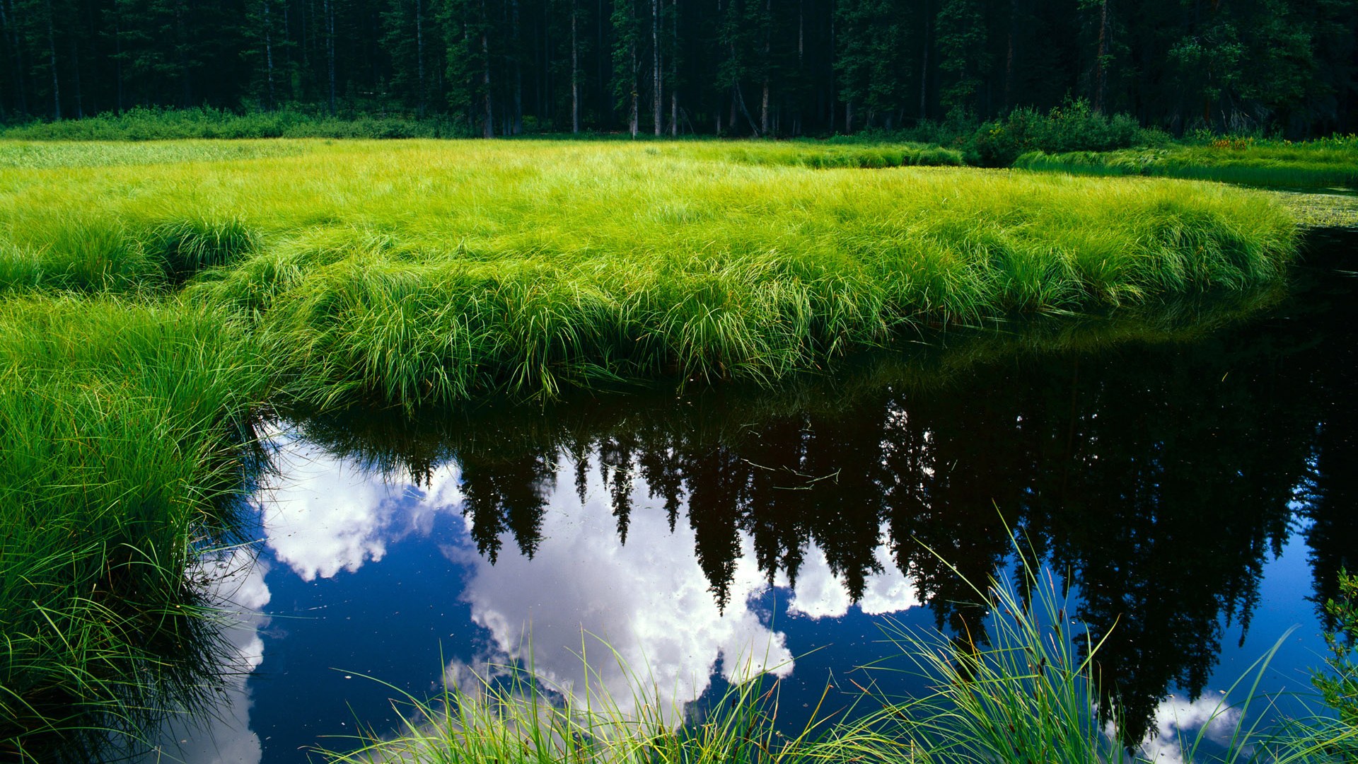 九游体育网页入口-国际热身赛国足惨败 球迷理性应对，国际足球热身赛是什么