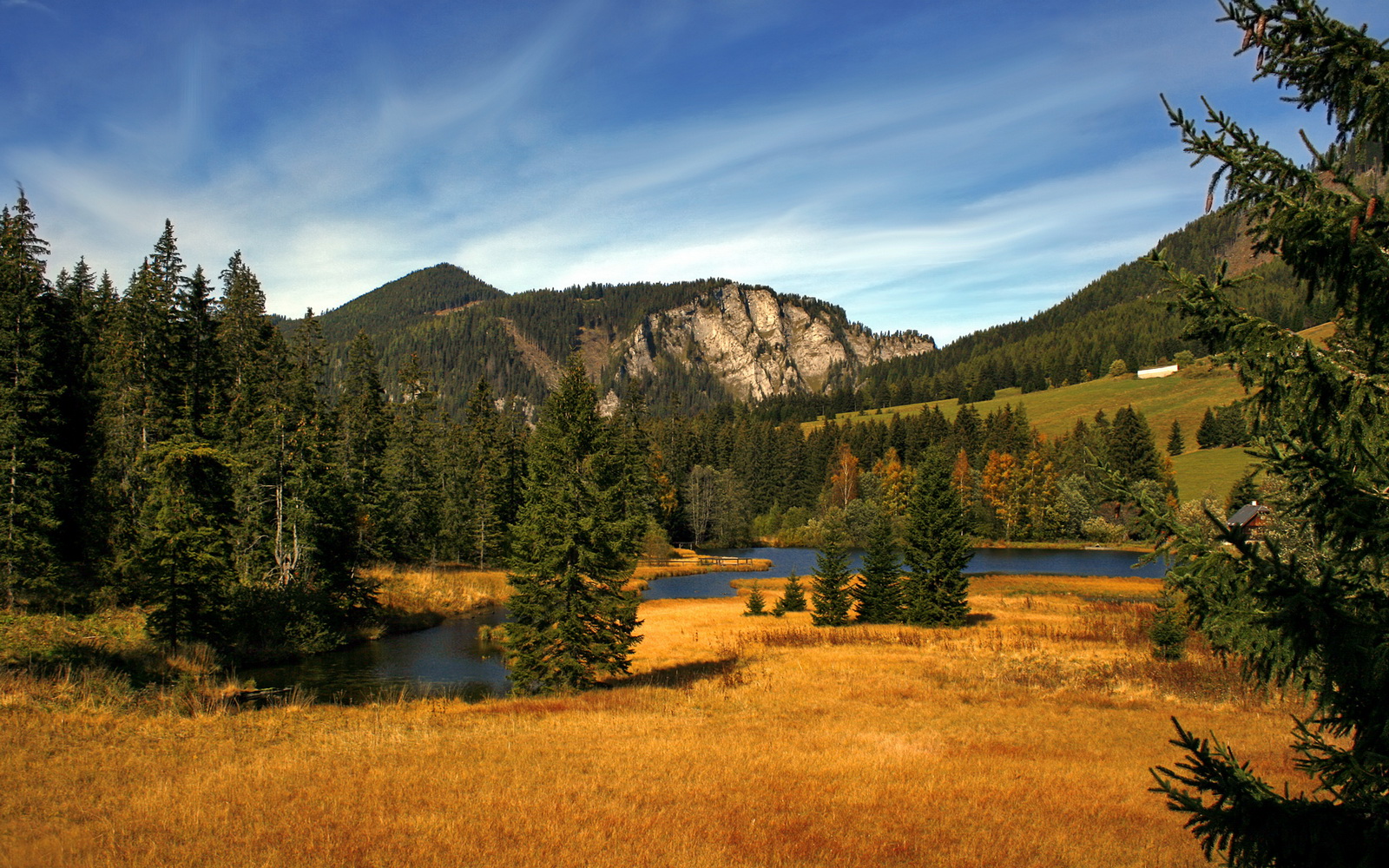 九游体育网页登陆-法兰克福边路快传快进形成连续进球机会,法兰克福伤停情况