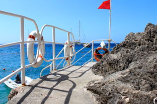 九游下载-海湾者未来青训体系逐渐完善，海湾技术