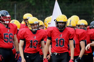 九游APP-球员伤病防护不足，球员伤病对球员的影响