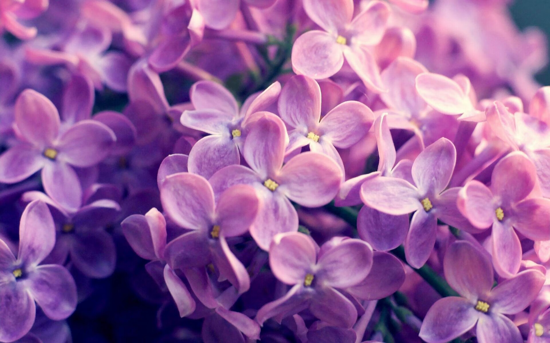 九游体育官方网站-职业网球训练营海外移训提升适应能力，职业网球运动