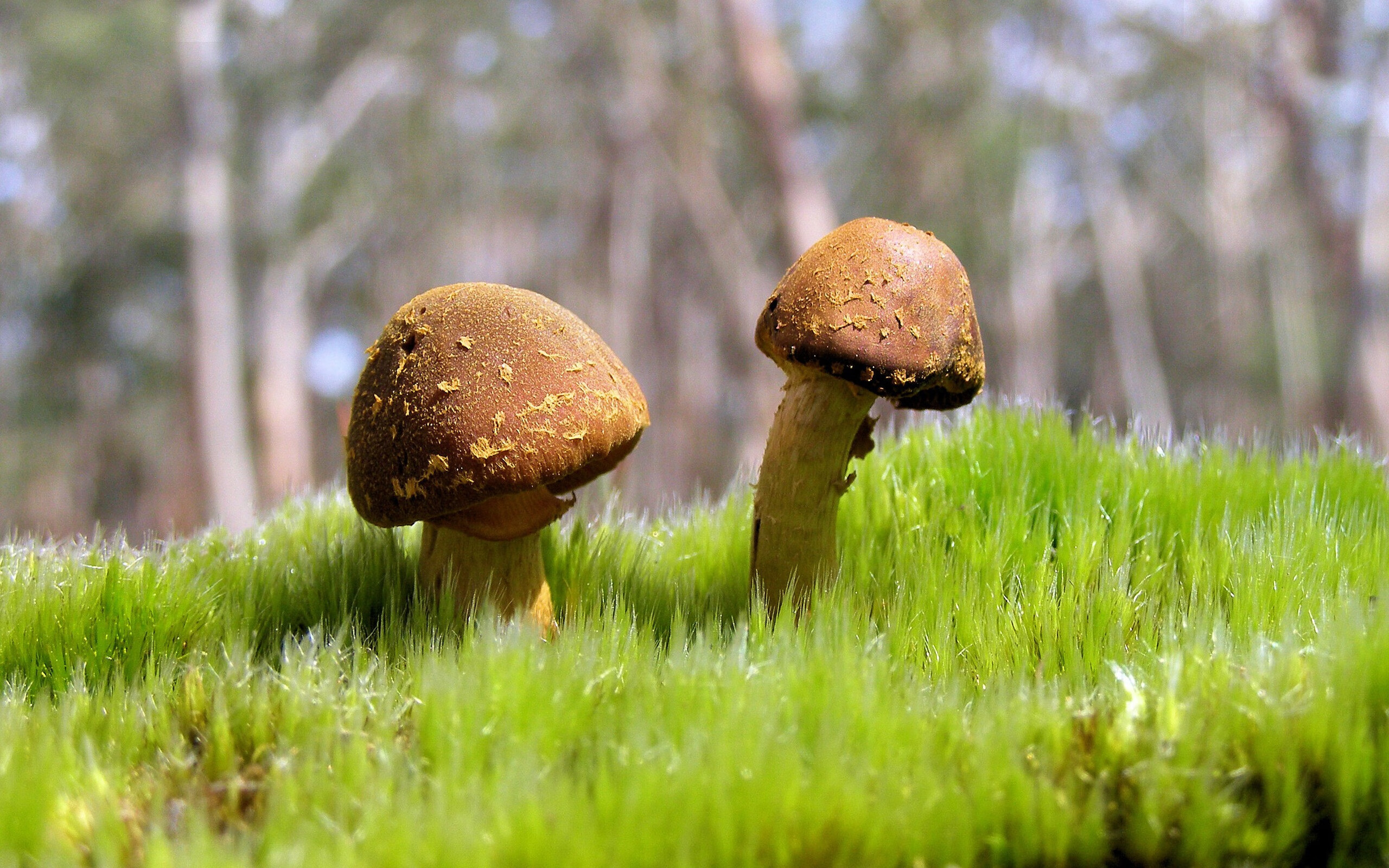 九游娱乐官方平台-高节奏打法中最易忽视的防守细节，节奏高手