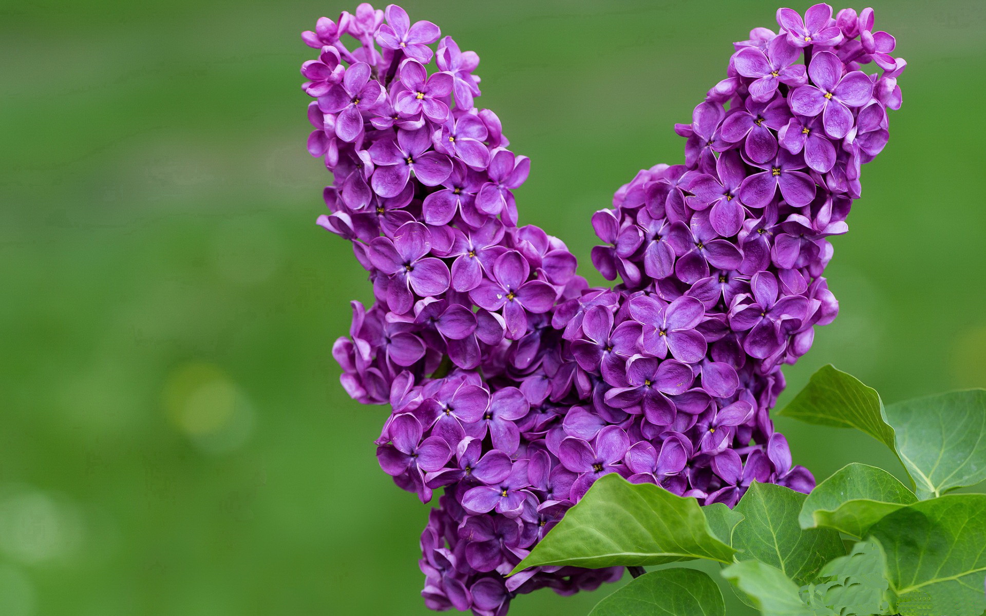 九游娱乐app下载-体育新闻中心发布体育院校运动员学业辅导扶持细则,运动员兼顾大学学业