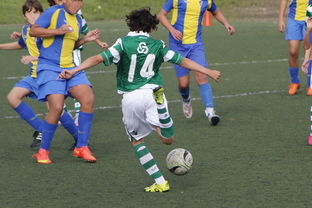 九游APP-国家体育场运营中心发布暑期开放时间公告，国家体育场百度百科