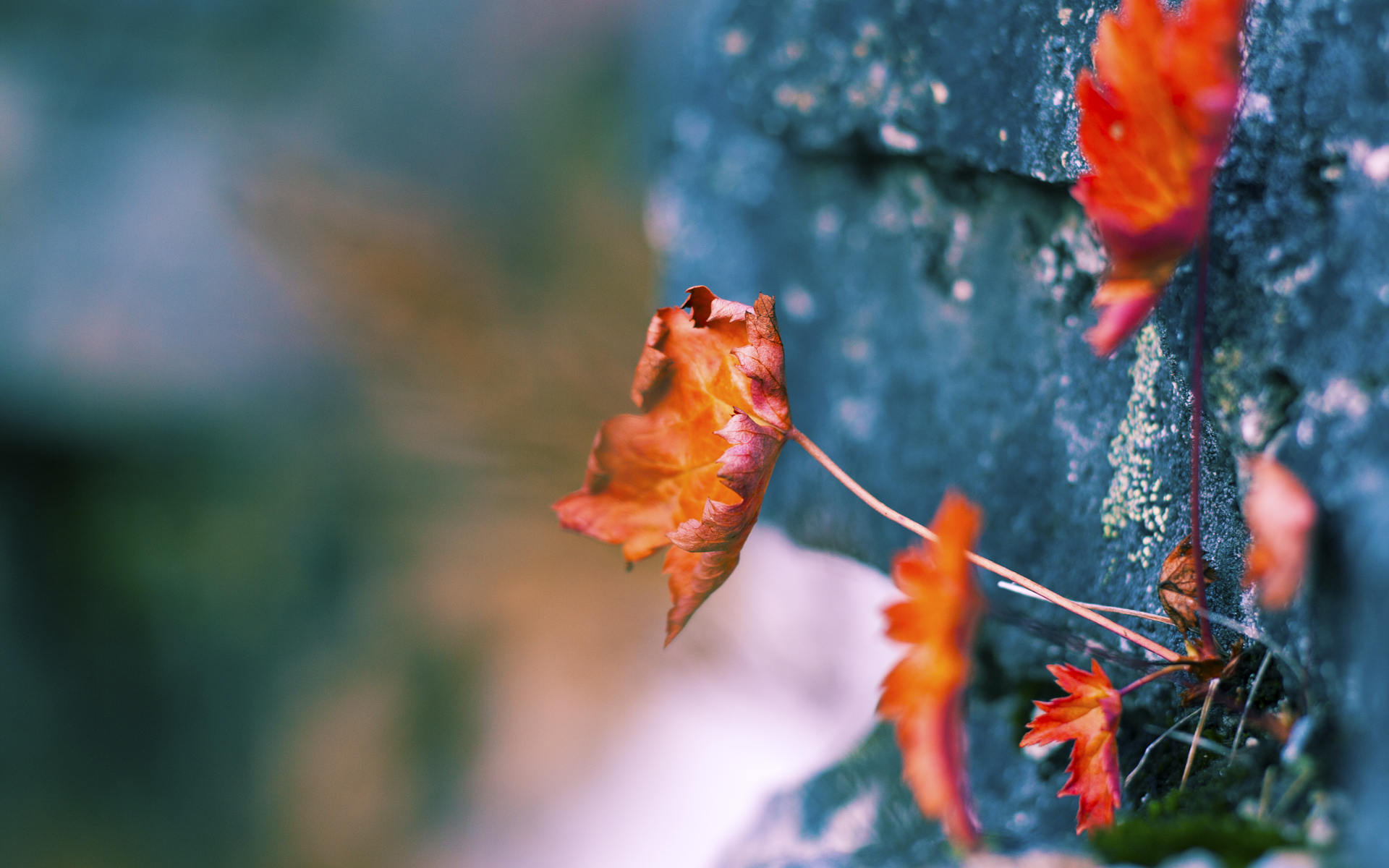 九游娱乐-米切尔表示希望带队更进一步，米切尔在哪个队